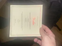 PERFORMER MUSTANG GUITAR