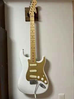 GOLD PICKGUARD USED