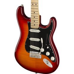 FENDER PLAYER STRATOCASTER
