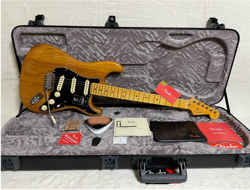 ELECTRIC GUITAR FENDER AMERICAN PROFESSIONAL II STRATOCASTER ROASTED PINE & CASE