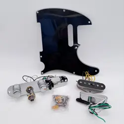 LOADED PICKGUARD 24118