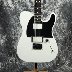FENDER JIM ROOT ARTIST SERIES SIGNATURE TELECASTER