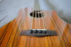 ACOUSTIC FENDER VB-NAT