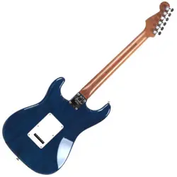 FENDER  LIMITED EDITION AMERICAN PROFESSIONAL STRATOCASTER ASH ROASTED