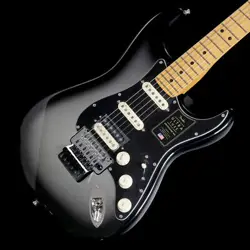 MAPLE SILVERBURST US24005661