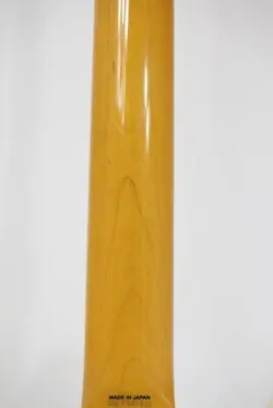 FENDER JAPAN MG65 NO.DG1727