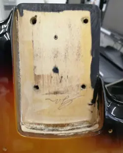 SUNBURST COLOR MODEL