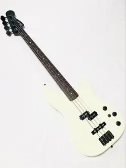 MCKAGAN BASS SPECIAL