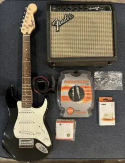 WITH FENDER SIDEKICK