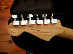 ED STRATOCASTER ROASTED