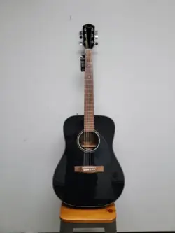 ACOUSTICS DG-60/BLK