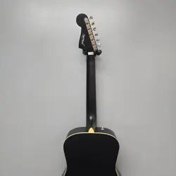 ACOUSTIC GUITAR MATTE