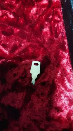 MEXICO TELECASTER JIM