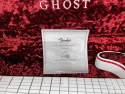 JOHN GHOST TELECASTER