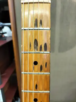 FENDER JAPAN / TL52-75 (NO241127)