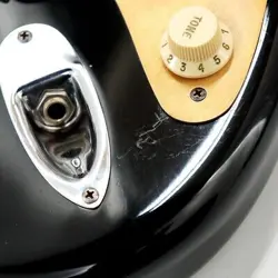 PLAYER STRATOCASTER BIRDS