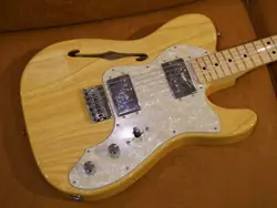 INJAPAN TRADITIONAL TELECASTER