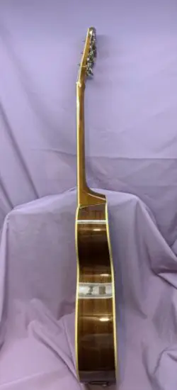 FA-235E CONCERT NATURAL