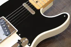 THIN SKIN TELECASTER