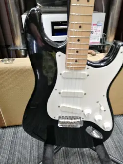 MAPLENECK/FINGERBOARD W/HARD CASE