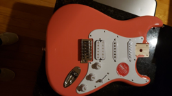 TAHITIAN CORAL LOADED