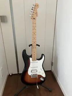 FENDER / PLAYER SERIES STRATOCASTER HSS