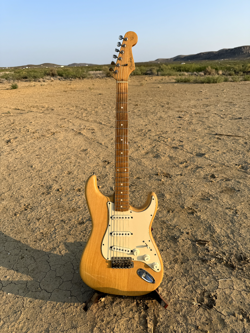 AUTHENTICATED BY GRUHN