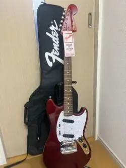 FENDER JAPANMG69 SAFE