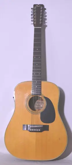 ACOUSTIC/ELECTRIC MIJ