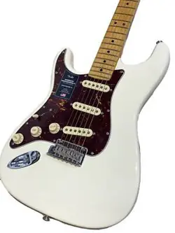 FENDER MN