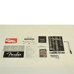 /STRATCASTER ELECTRIC