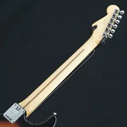 STRATOCASTER /PAU