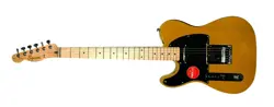 FENDER LH
