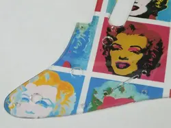 PLATE PICKGUARD FITS