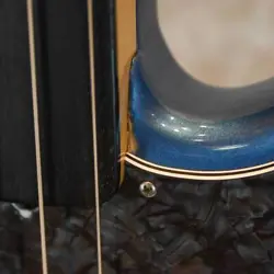 FENDER TONY FRANKLIN FRETLESS PRECISION BASS