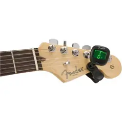PROFESSIONAL GUITAR TUNER