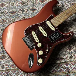 FENDER FENDER/ PLAYER PLUS STRATOCASTER PAU FERRO  3.67KG75