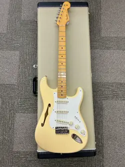 MAPLE FRETBOARD- VINT