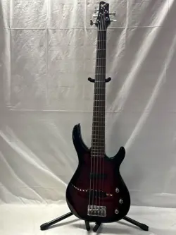 5-STRING BASS MB5