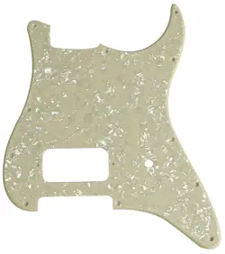 PICKGUARD1