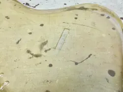 STRATOCASTER BODY GUARD