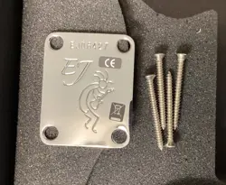 PLATE WITH SCREWS