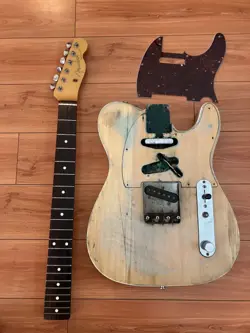 CUSTOM PROJECT GUITAR