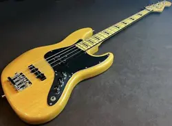 BASS NO.DG608