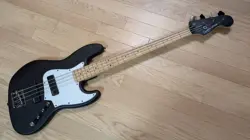 ACTIVE HH FENDER