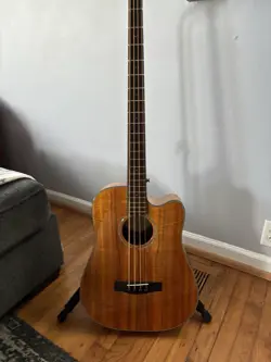 SIGNATURE ACOUSTIC/ELECTRIC