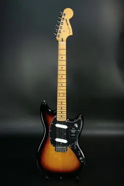 SUNBURST MAPLE SAKAE