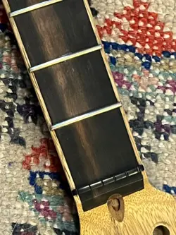 EXOTIC ACOUSTASONIC STRATOCASTER