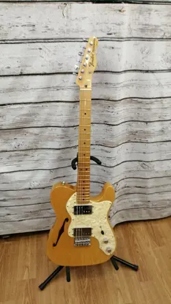 FENDER MEXICO TELECASTER THINLINE ELECTRIC GUITAR SAFE DELIVERY FROM JAPAN