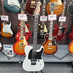 FENDER MEXICO JIM ROOT TELECASTER ELECTRIC GUITAR SAFE DELIVERY FROM JAPAN